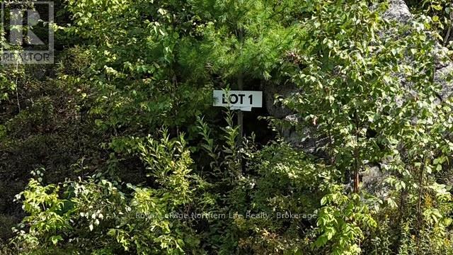Lot 1 Fox Run Road, Temagami, Ontario  P0H 2H0 - Photo 2 - X12421023