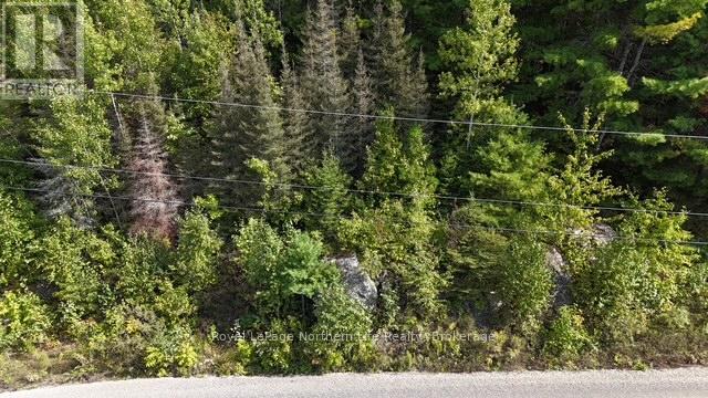 Lot 1 Fox Run Road, Temagami, Ontario  P0H 2H0 - Photo 3 - X12421023