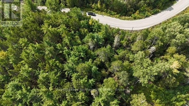 Lot 1 Fox Run Road, Temagami, Ontario  P0H 2H0 - Photo 5 - X12421023
