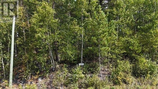 Lot 2 Fox Run Drive, Temagami, Ontario  P0H 2H0 - Photo 2 - X12421028