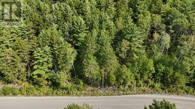 Lot 2 Fox Run Drive, Temagami, Ontario  P0H 2H0 - Photo 5 - X12421028