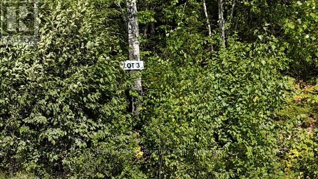 Lot 3 Fox Run Drive, Temagami, Ontario  P0H 2H0 - Photo 2 - X12421031