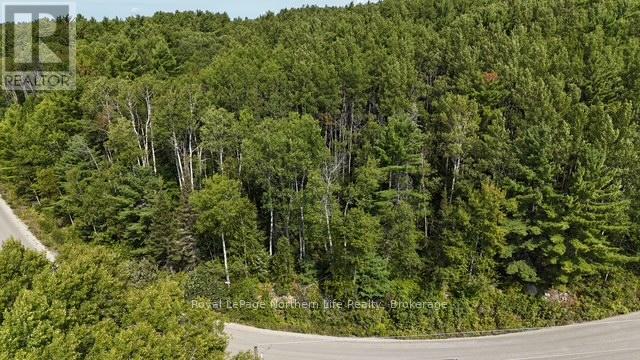 Lot 3 Fox Run Drive, Temagami, Ontario  P0H 2H0 - Photo 3 - X12421031
