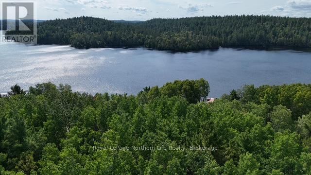 Lot 3 Fox Run Drive, Temagami, Ontario  P0H 2H0 - Photo 4 - X12421031