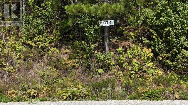 Lot 4 Fox Run Drive, Temagami, Ontario  P0H 2H0 - Photo 2 - X12421032