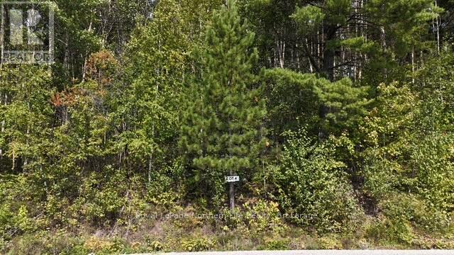 Lot 4 Fox Run Drive, Temagami, Ontario  P0H 2H0 - Photo 3 - X12421032