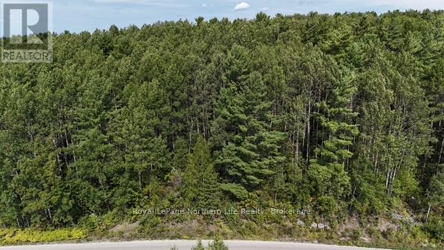 Lot 4 Fox Run Drive, Temagami, Ontario  P0H 2H0 - Photo 4 - X12421032