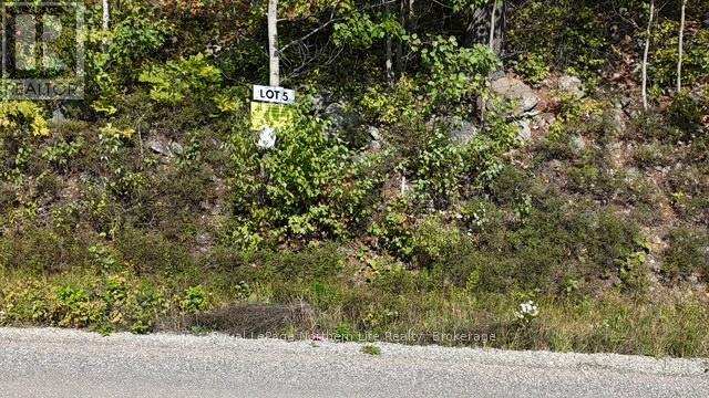 Lot 5 Fox Run Drive, Temagami, Ontario  P0H 2H0 - Photo 2 - X12421035