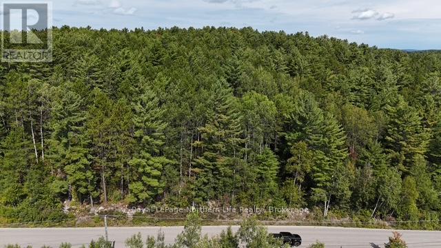Lot 5 Fox Run Drive, Temagami, Ontario  P0H 2H0 - Photo 4 - X12421035