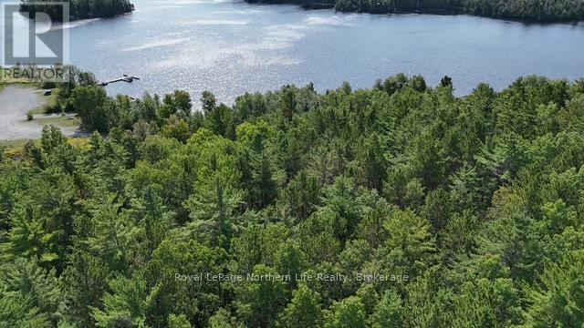 Lot 5 Fox Run Drive, Temagami, Ontario  P0H 2H0 - Photo 6 - X12421035
