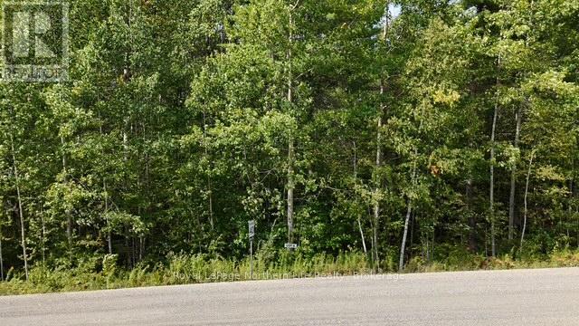Lot 8 Fox Run Drive, Temagami, Ontario  P0H 2H0 - Photo 3 - X12421038