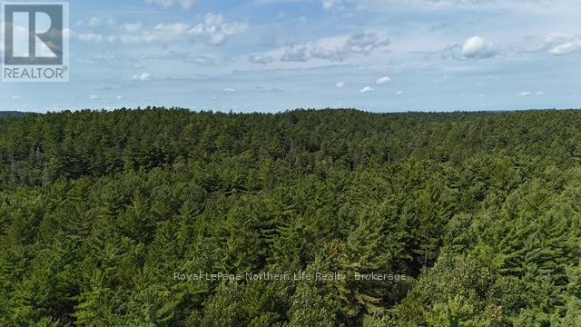 Lot 8 Fox Run Drive, Temagami, Ontario  P0H 2H0 - Photo 5 - X12421038
