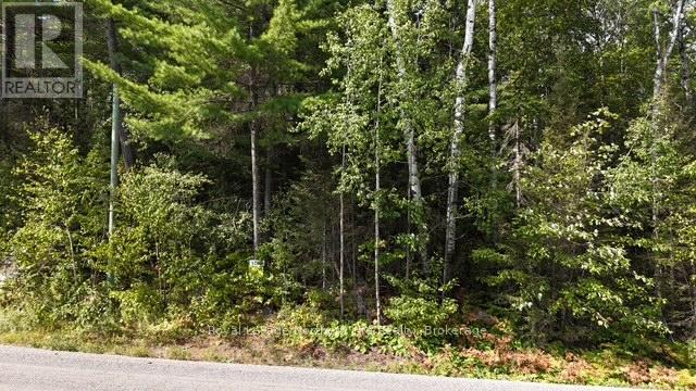 Lot 9 Fox Run Drive, Temagami, Ontario  P0H 2H0 - Photo 3 - X12421043