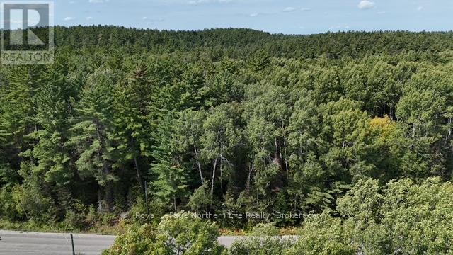 Lot 9 Fox Run Drive, Temagami, Ontario  P0H 2H0 - Photo 4 - X12421043