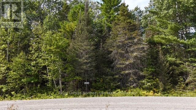 Lot 10 Fox Run Drive, Temagami, Ontario  P0H 2H0 - Photo 3 - X12421044