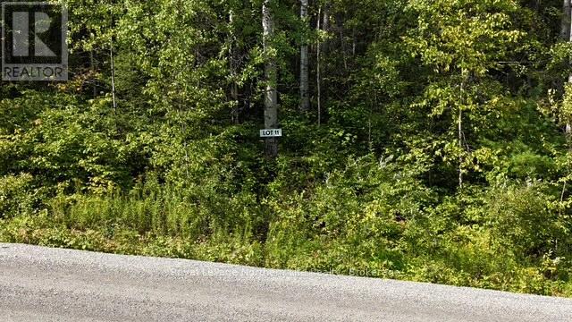 Lot 11 Fox Run Drive, Temagami, Ontario  P0H 2H0 - Photo 2 - X12421046