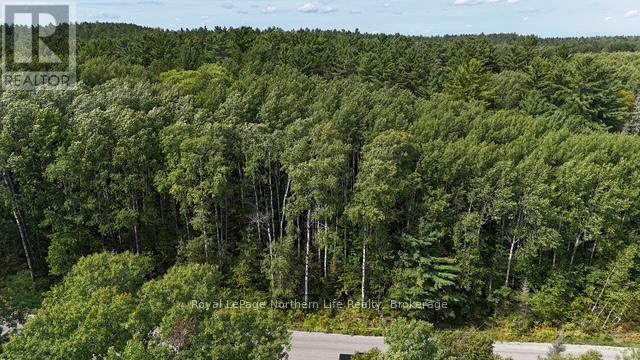 Lot 11 Fox Run Drive, Temagami, Ontario  P0H 2H0 - Photo 4 - X12421046