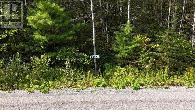 Lot 12 Fox Run Drive, Temagami, Ontario  P0H 2H0 - Photo 2 - X12421047