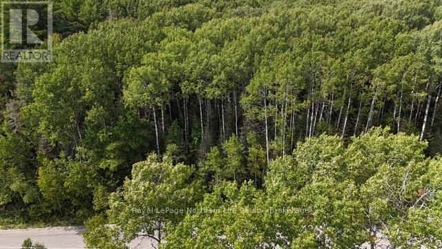 Lot 12 Fox Run Drive, Temagami, Ontario  P0H 2H0 - Photo 3 - X12421047