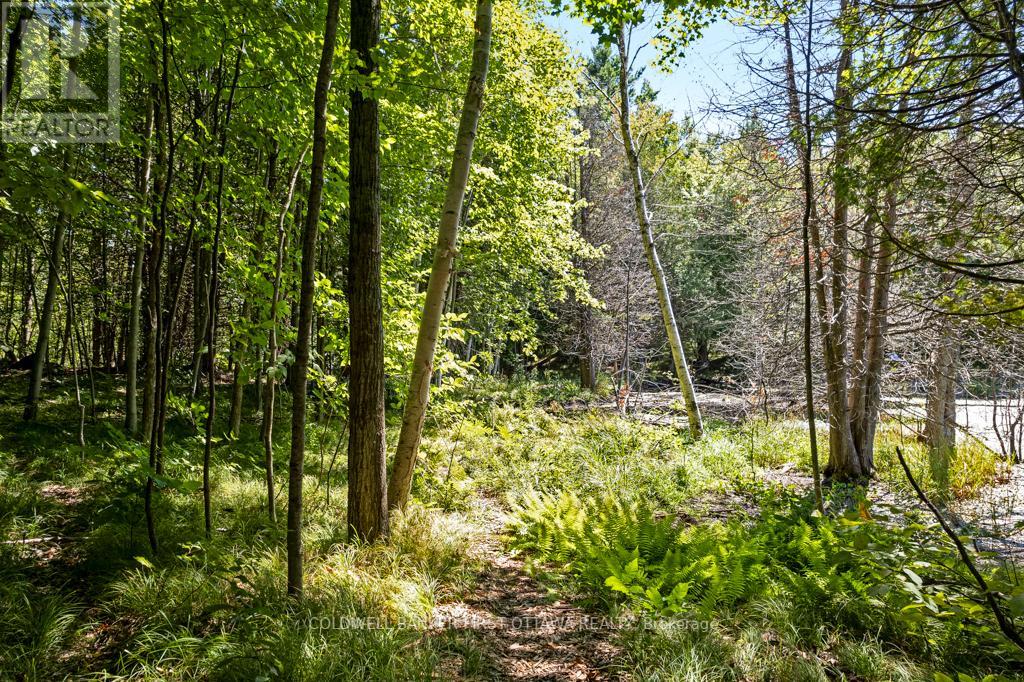 4031 Bolingbroke Road, Tay Valley, Ontario  K0H 2B0 - Photo 36 - X12363916