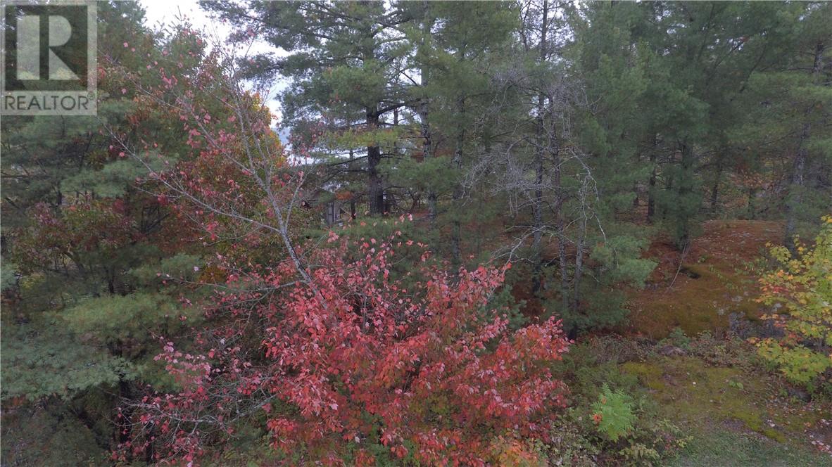 2692b Highway 528, Noelville, Ontario  P0M 2N0 - Photo 22 - 2122208