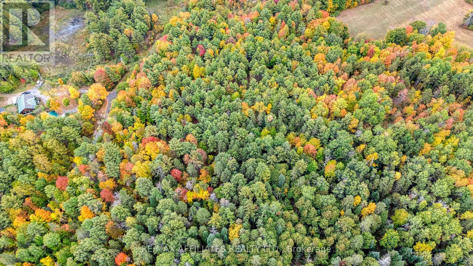 Lot 132 Ramsay Con 3c Road, Mississippi Mills, Ontario  K0A 1A0 - Photo 13 - X12412092