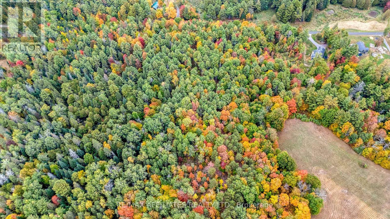 Lot 132 Ramsay Con 3c Road, Mississippi Mills, Ontario  K0A 1A0 - Photo 14 - X12412092