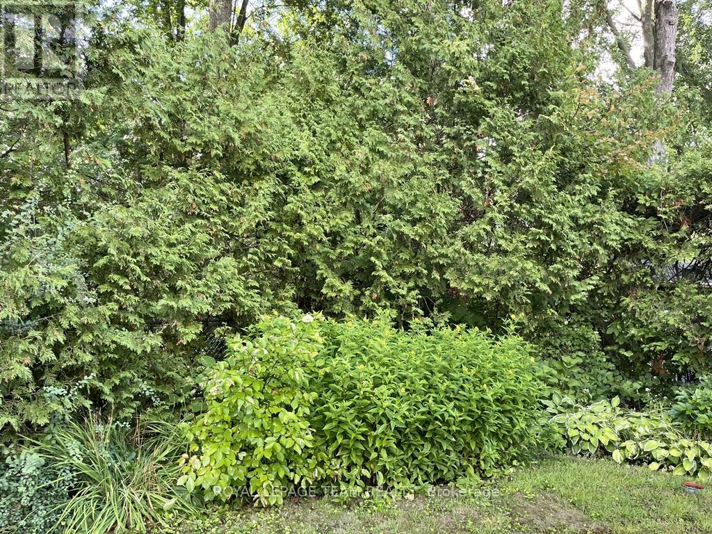 18 Diceman Crescent, Ottawa, Ontario  K1B 3Y3 - Photo 28 - X12421197