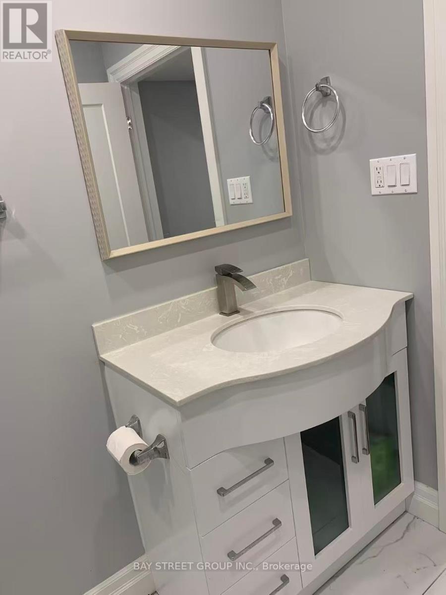 Basement - 56 Stelle Lane, Hamilton, Ontario  L9B 0H9 - Photo 6 - X12421079
