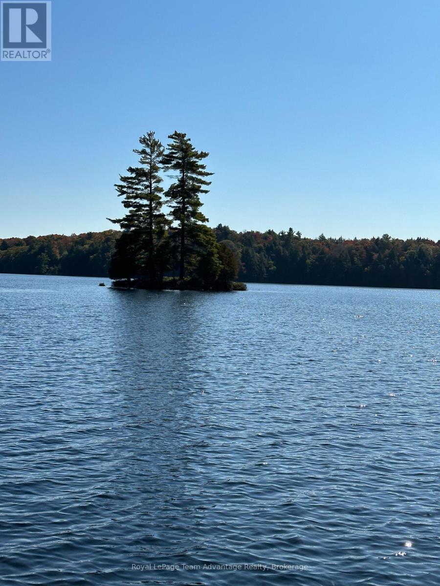 19 - 1 Crane Walker Road, The Archipelago, Ontario  P2A 0B7 - Photo 31 - X12179816