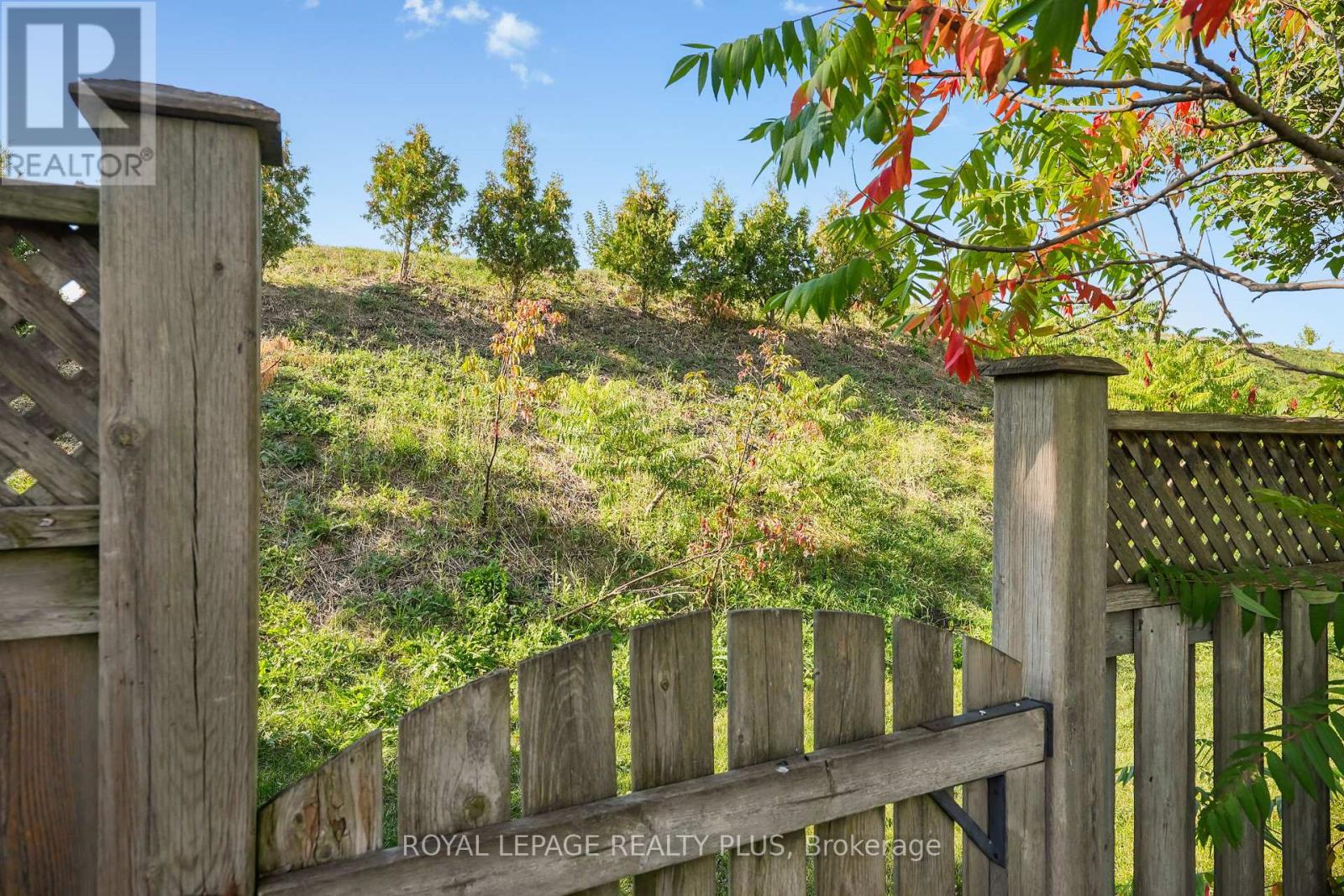 2335 Wyandotte Drive, Oakville, Ontario  L6L 2T4 - Photo 46 - W12412960