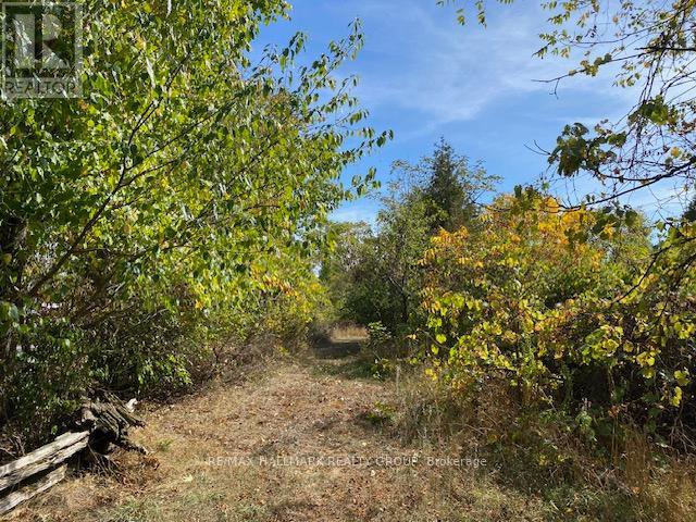 Part 1 R13 Road, Rideau Lakes, Ontario  K0G 1L0 - Photo 26 - X12374314