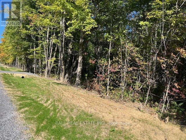 Pt 33a & Pt 33b Autumn Road N, Trent Hills, Ontario K0K 3K0 - Photo 1 - X12421354