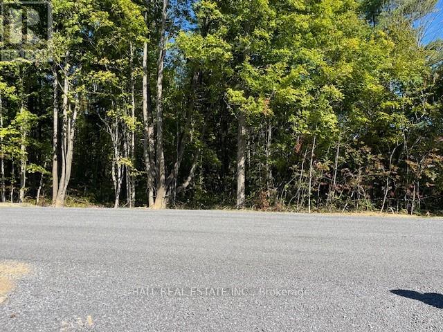 Pt 33a & Pt 33b Autumn Road N, Trent Hills, Ontario K0K 3K0 - Photo 10 - X12421354