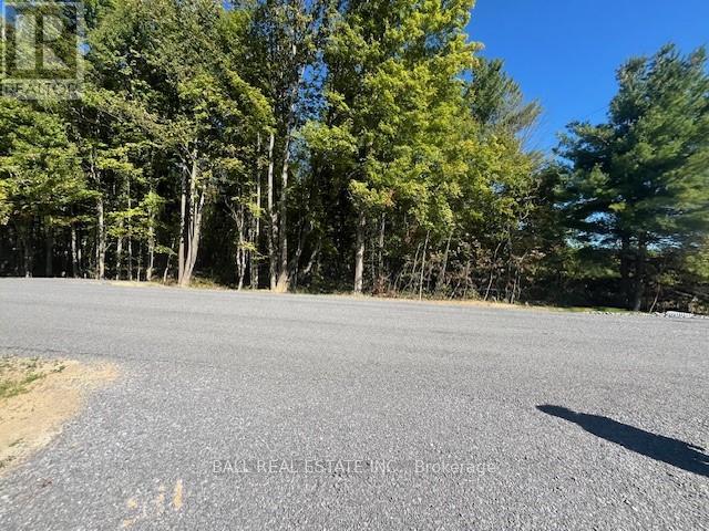 Pt 33a & Pt 33b Autumn Road N, Trent Hills, Ontario K0K 3K0 - Photo 12 - X12421354