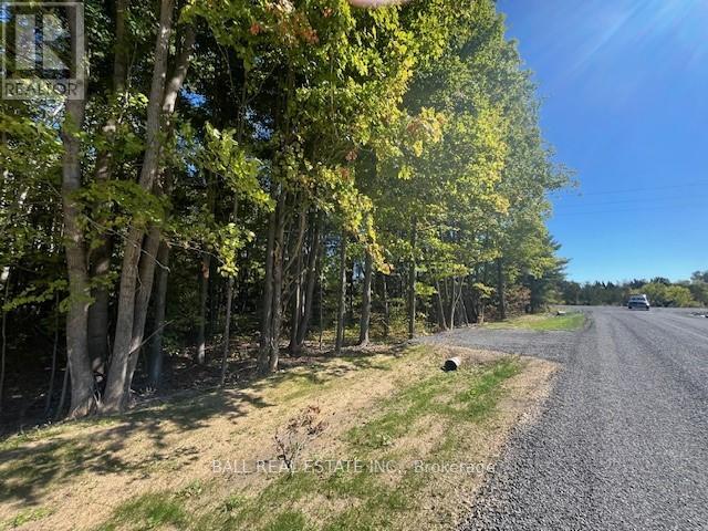 Pt 33a & Pt 33b Autumn Road N, Trent Hills, Ontario K0K 3K0 - Photo 5 - X12421354