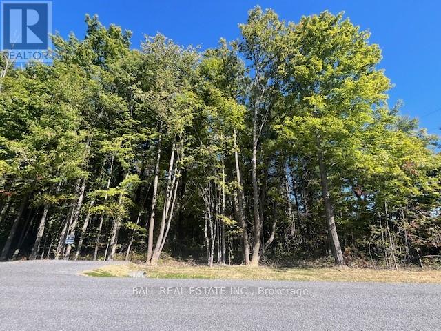 Pt 33a & Pt 33b Autumn Road N, Trent Hills, Ontario K0K 3K0 - Photo 6 - X12421354