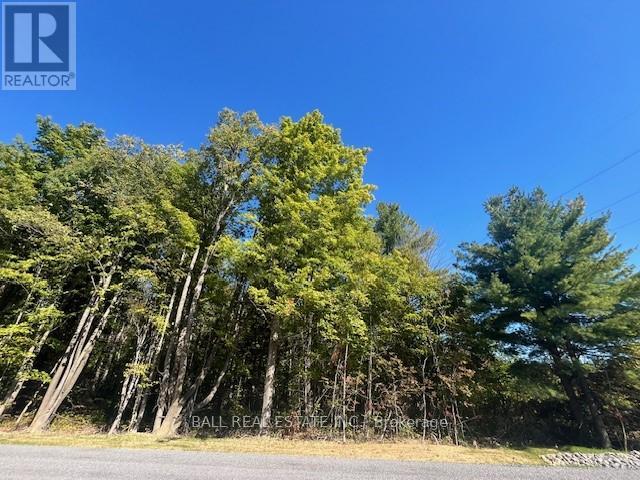 Pt 33a & Pt 33b Autumn Road N, Trent Hills, Ontario K0K 3K0 - Photo 7 - X12421354