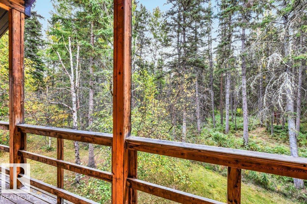 121 453041 Hwy 771, Rural Wetaskiwin County, Alberta  T0C 2V0 - Photo 49 - E4459049