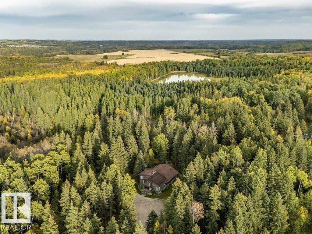 121 453041 Hwy 771, Rural Wetaskiwin County, Alberta  T0C 2V0 - Photo 65 - E4459049