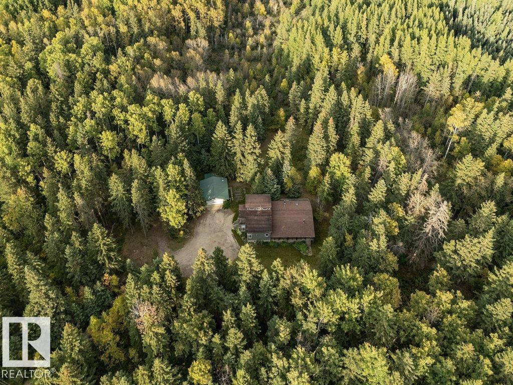 121 453041 Hwy 771, Rural Wetaskiwin County, Alberta  T0C 2V0 - Photo 68 - E4459049
