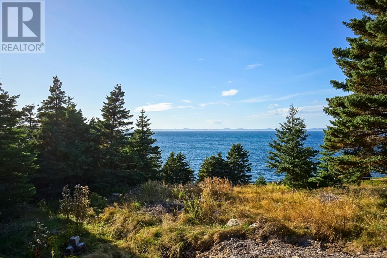 395 Main Road, Hearts Desire, Newfoundland & Labrador  A0B 2B0 - Photo 11 - 1290529
