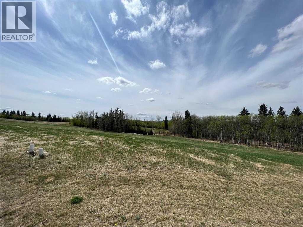 143 Wolf Run Drive, Ponoka, Alberta  T4J 1R3 - Photo 5 - A2259190