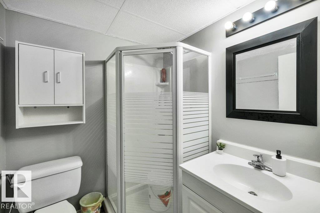 169 Royal Rd Nw, Edmonton, Alberta  T6J 2E7 - Photo 31 - E4459055