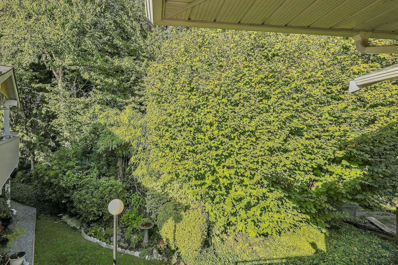 217 10584 153 Street, Surrey, British Columbia  V3R 9V1 - Photo 35 - R3050678