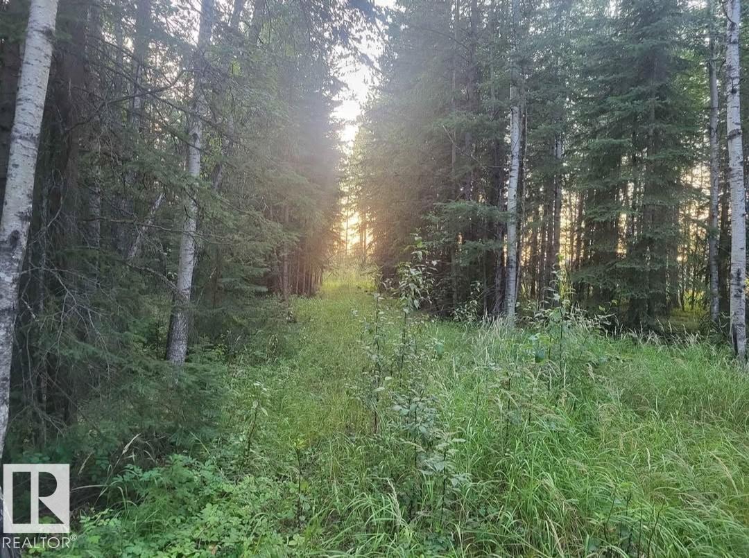 Sw-24-53-11-5 Block 1, Lot 5 (Rr 111 At Twp 533), Rural Yellowhead, Alberta  T7E 5A6 - Photo 6 - E4457874