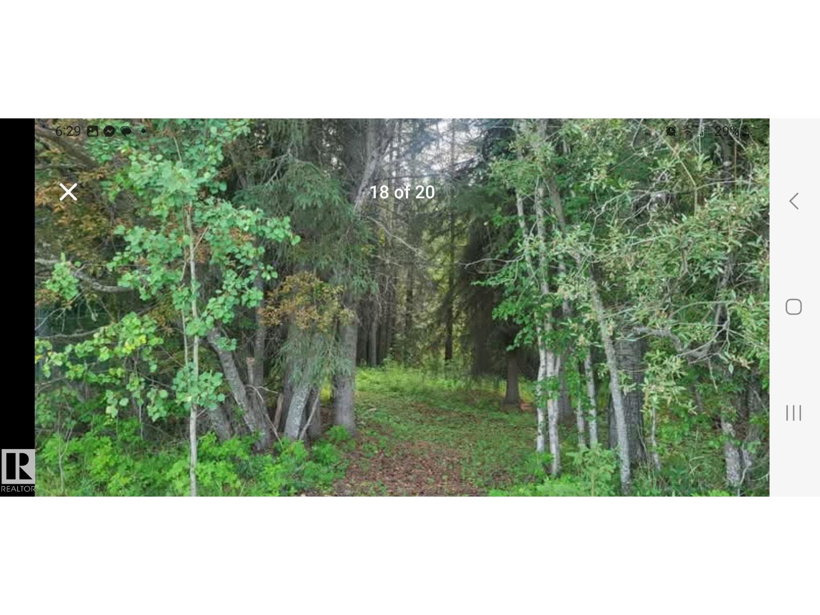 Sw-24-53-11-5 Block 1, Lot 5 (Rr 111 At Twp 533), Rural Yellowhead, Alberta  T7E 5A6 - Photo 11 - E4457874