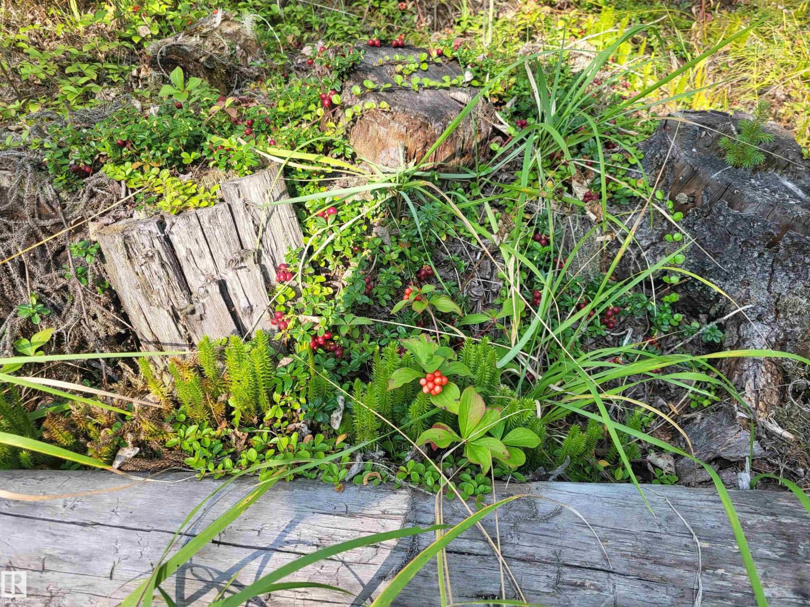 Sw-24-53-11-5 Block 1, Lot 5 (Rr 111 At Twp 533), Rural Yellowhead, Alberta  T7E 5A6 - Photo 3 - E4457874