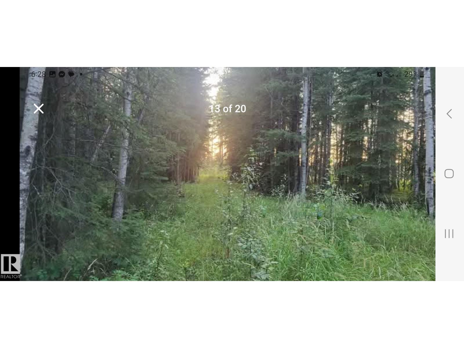 Sw-24-53-11-5 Block 1, Lot 5 (Rr 111 At Twp 533), Rural Yellowhead, Alberta  T7E 5A6 - Photo 9 - E4457874