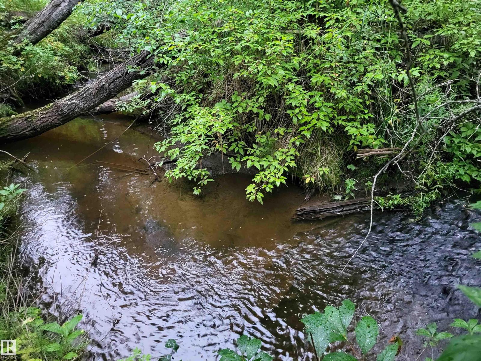 Sw-24-53-11-5 Block 1, Lot 5 (Rr 111 At Twp 533), Rural Yellowhead, Alberta  T7E 5A6 - Photo 2 - E4457874